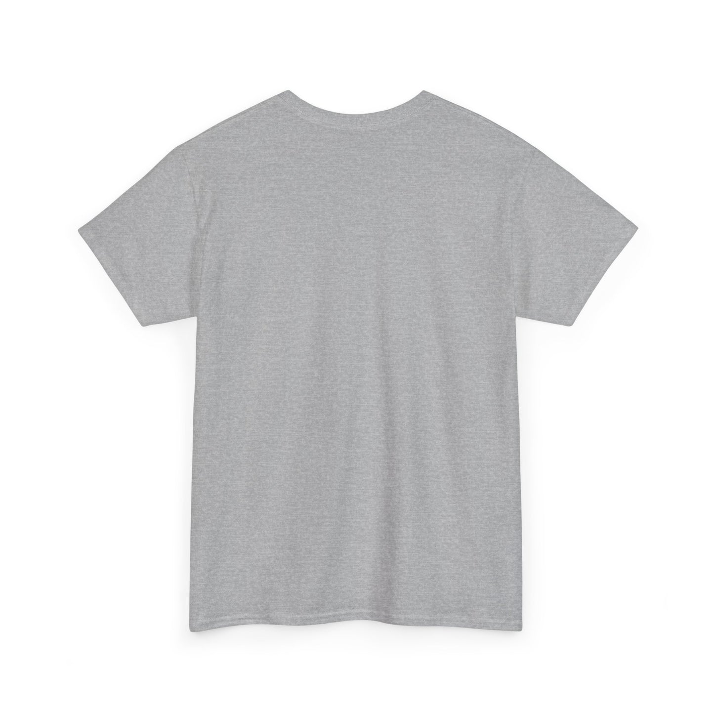"Everything Points" Unisex Heavy Cotton Tee