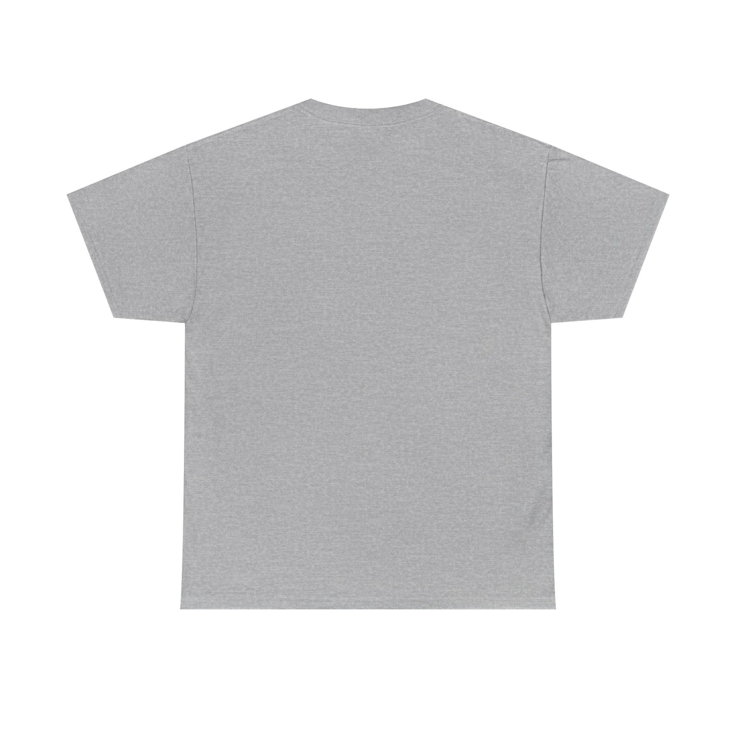 "Everything Points" Unisex Heavy Cotton Tee